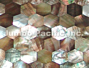 Blacklip & Hammershell Shell Tiles